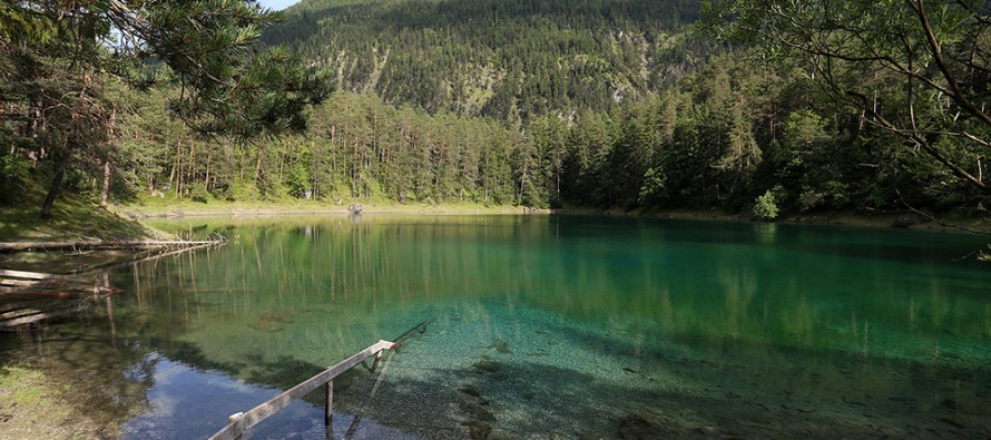 Samaranger See und Fernsteinsee – Top-Tauchen in den Alpen