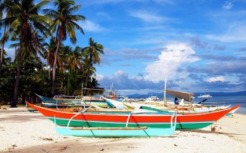 Tauchen auf den Philippinen – Inselhüpfen im Tropenparadies