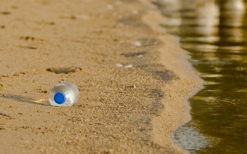 Immer mehr Plastikmüll in den Meeren – Drei Gefahren im Überblick