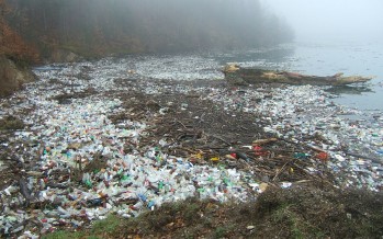 Wissenschaftler untersuchen giftiges Mikroplastik am Meeresboden