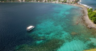 Auf der Karibik-Insel Dominica startet erneut das Dive-Fest für Taucher
