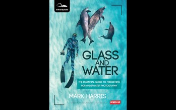 Glass and Water – Handbuch für freitauchende Fotografen