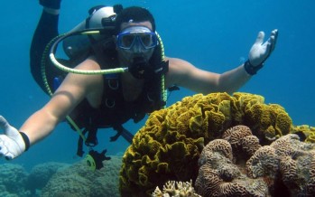 Tauchevent „Aqaba Dive Challenge“ lockt Tauchsportler aus Deutschland in den Süden Jordaniens