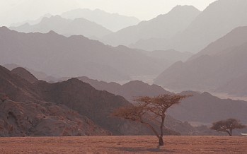 Lufthansa-Gruppe stoppt Flüge auf den Sinai