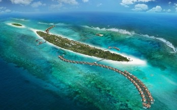 Euro-Divers Maldives starten Korallenschutz-Projekt