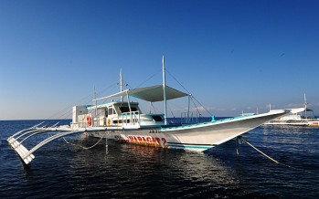 Walhaisafari Philippinen