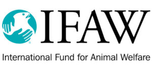 ifaw