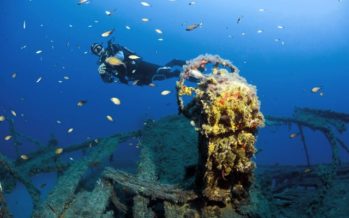 Unterwasser-Fotowettbewerb „Blue Dolphin of Malta“