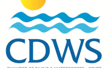 Anordnung der CDWS