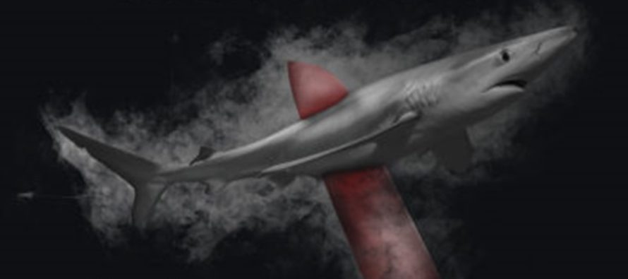 Bürgerinitiative zum Verbot des Handels mit Haiflossen in Europa gestartet
