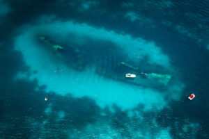 Antilla Shipwreck© Aruba Tourism Authority